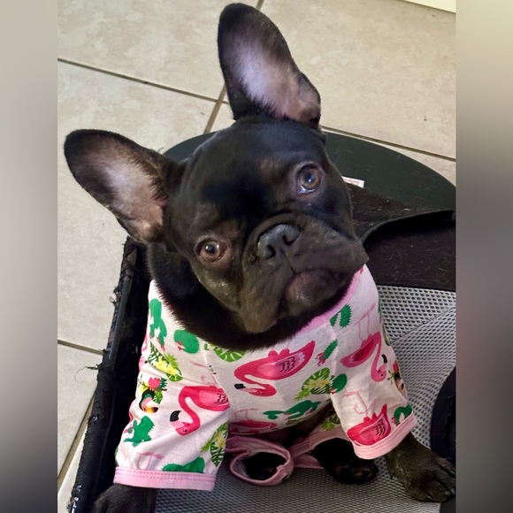 Meet your Posher, Heather - Picture 3 of 16